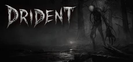 Drident görsel 1