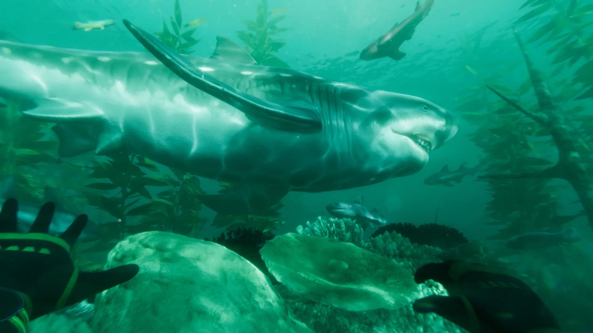 Paleo Dive görsel 2