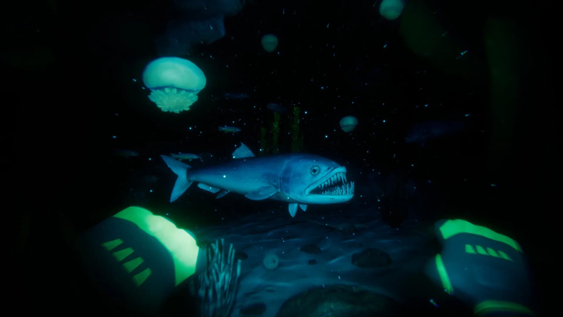 Paleo Dive görsel 3