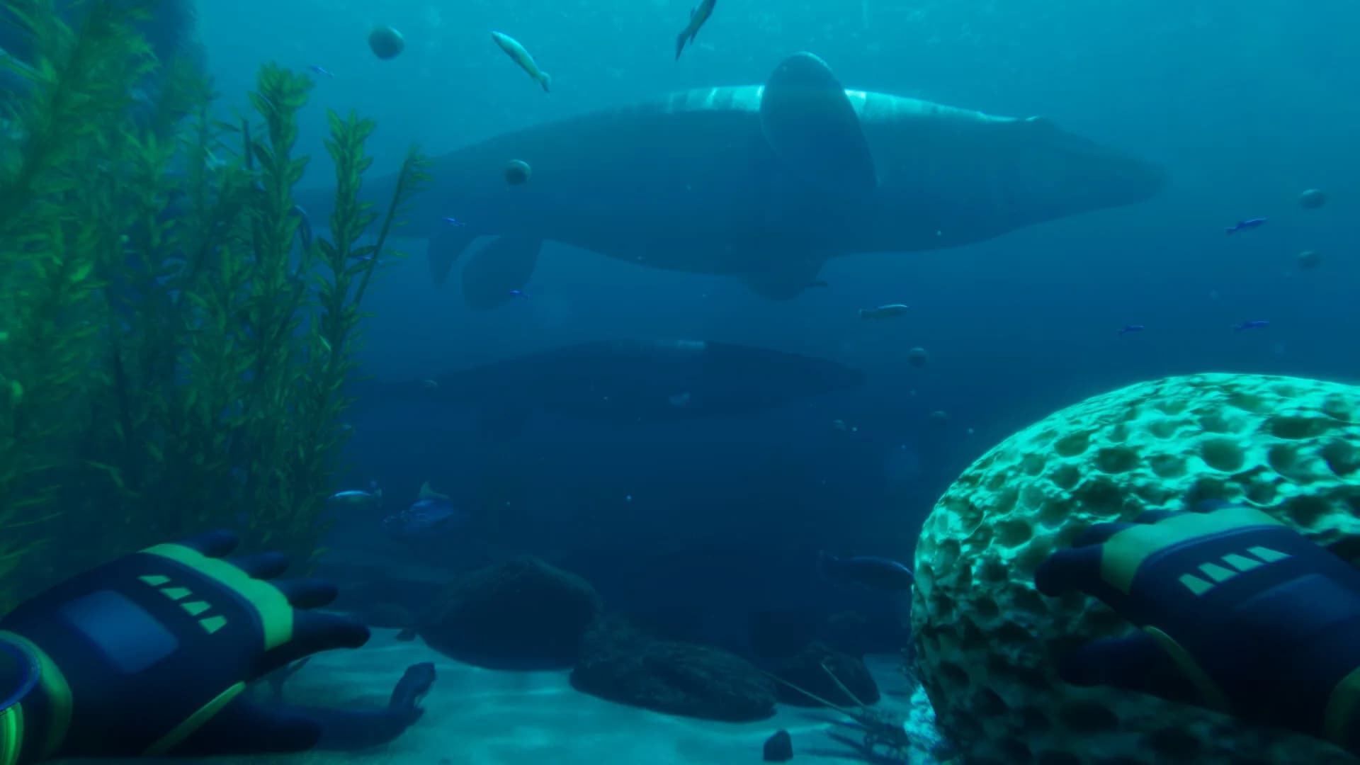 Paleo Dive görsel 4