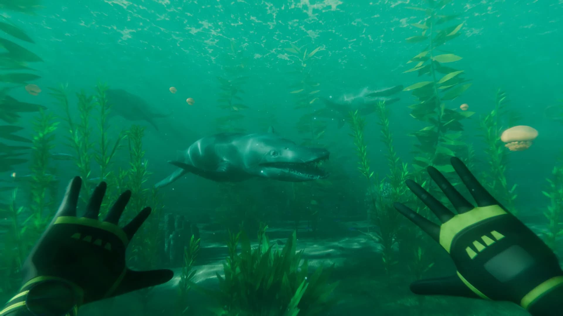 Paleo Dive görsel 5
