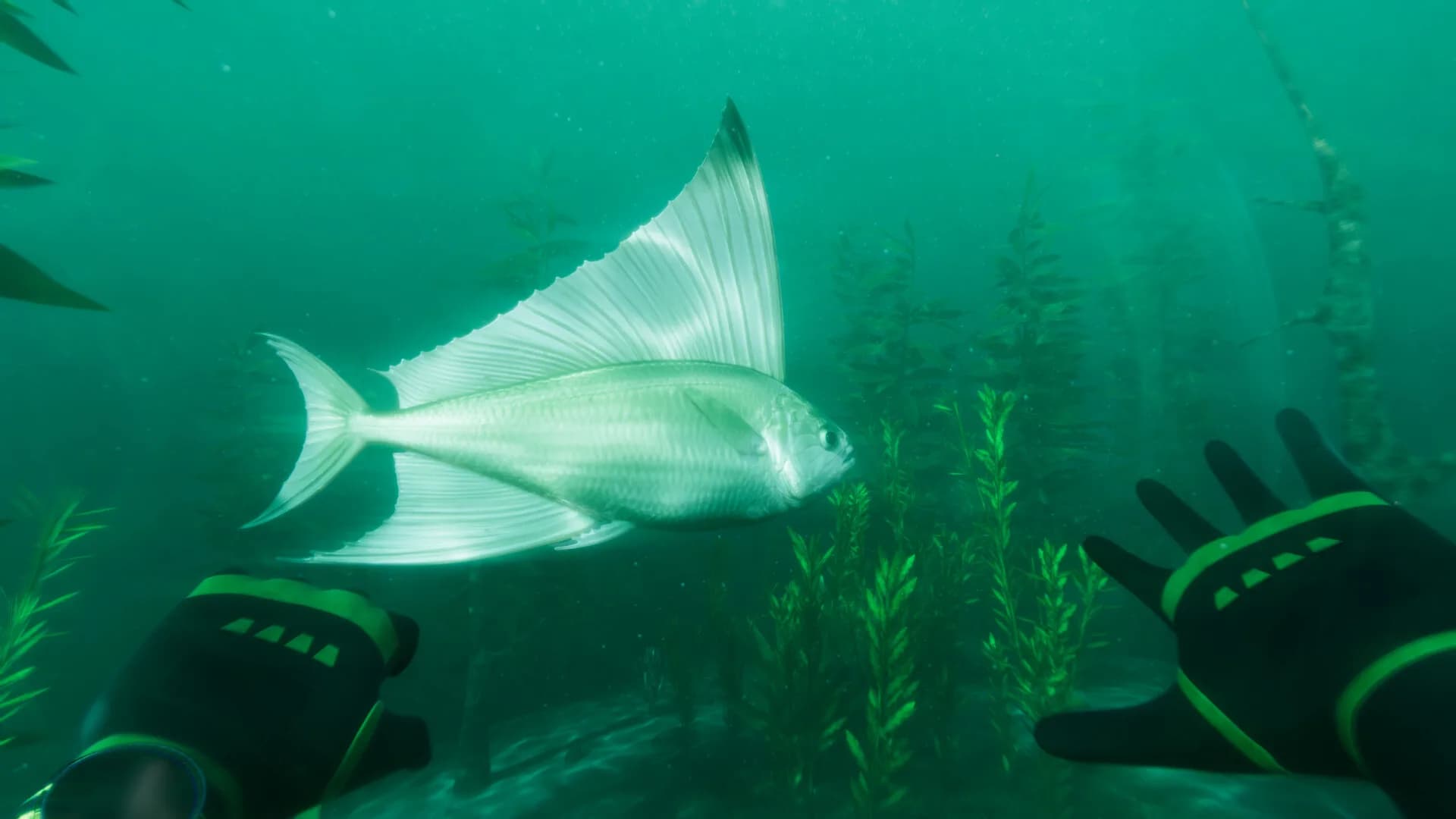 Paleo Dive görsel 7