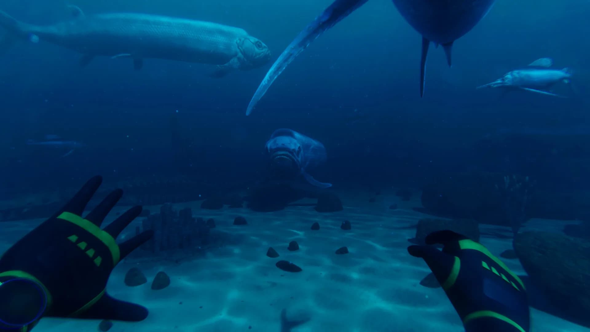 Paleo Dive görsel 8