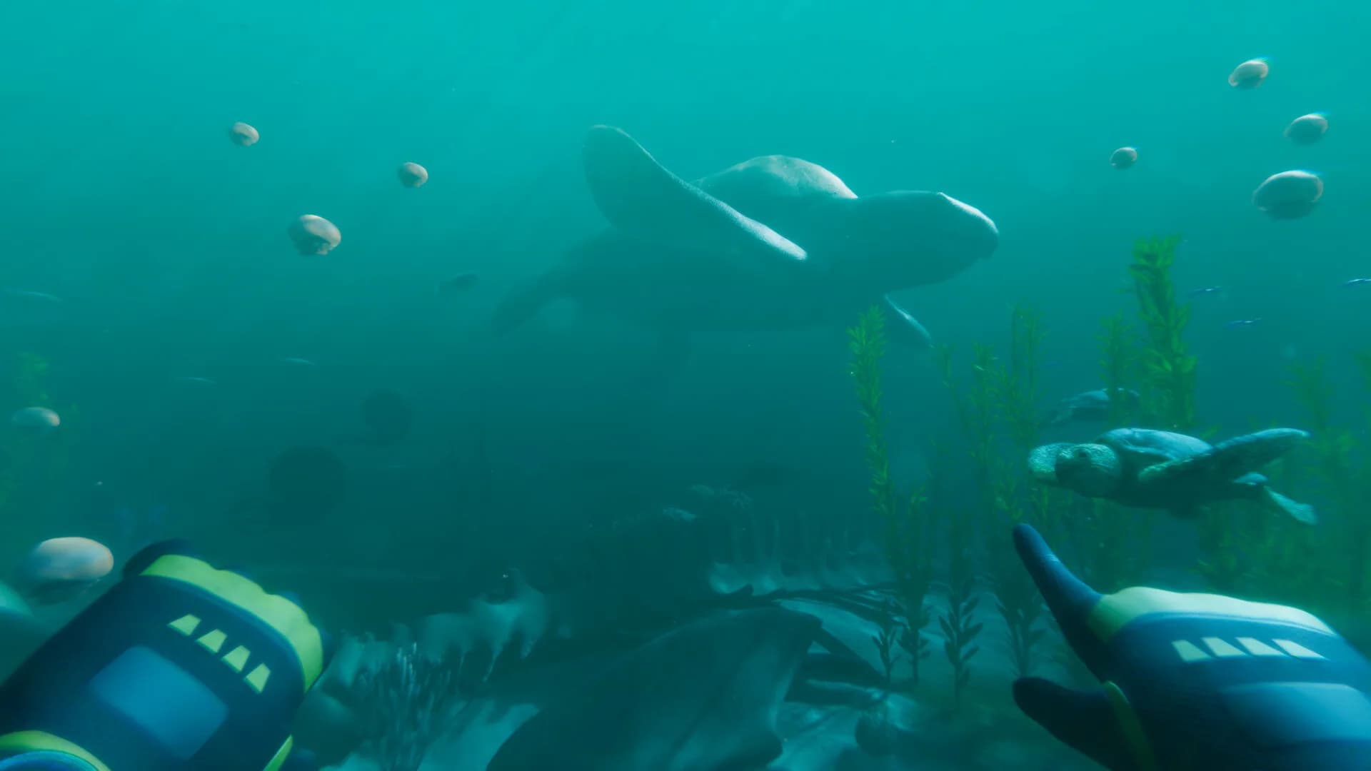 Paleo Dive görsel 10