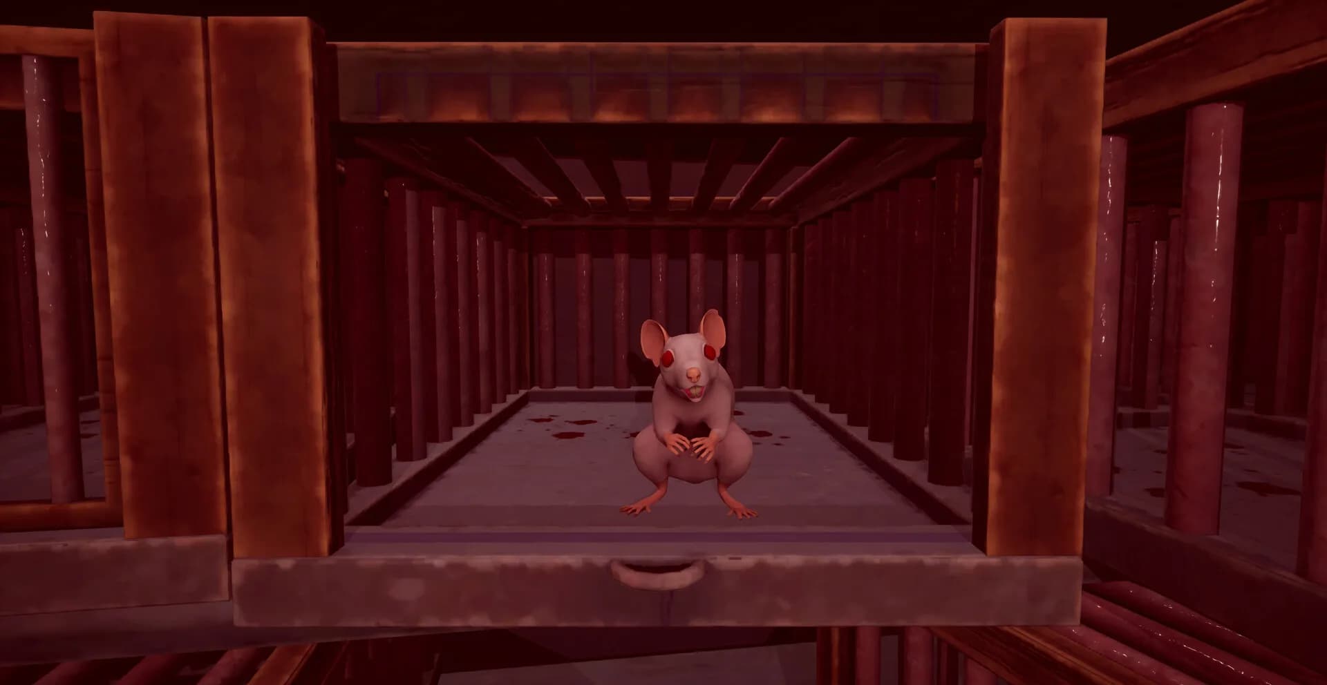 Cheesty görsel 2