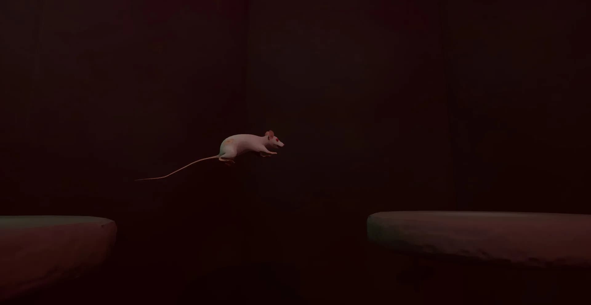 Cheesty görsel 8