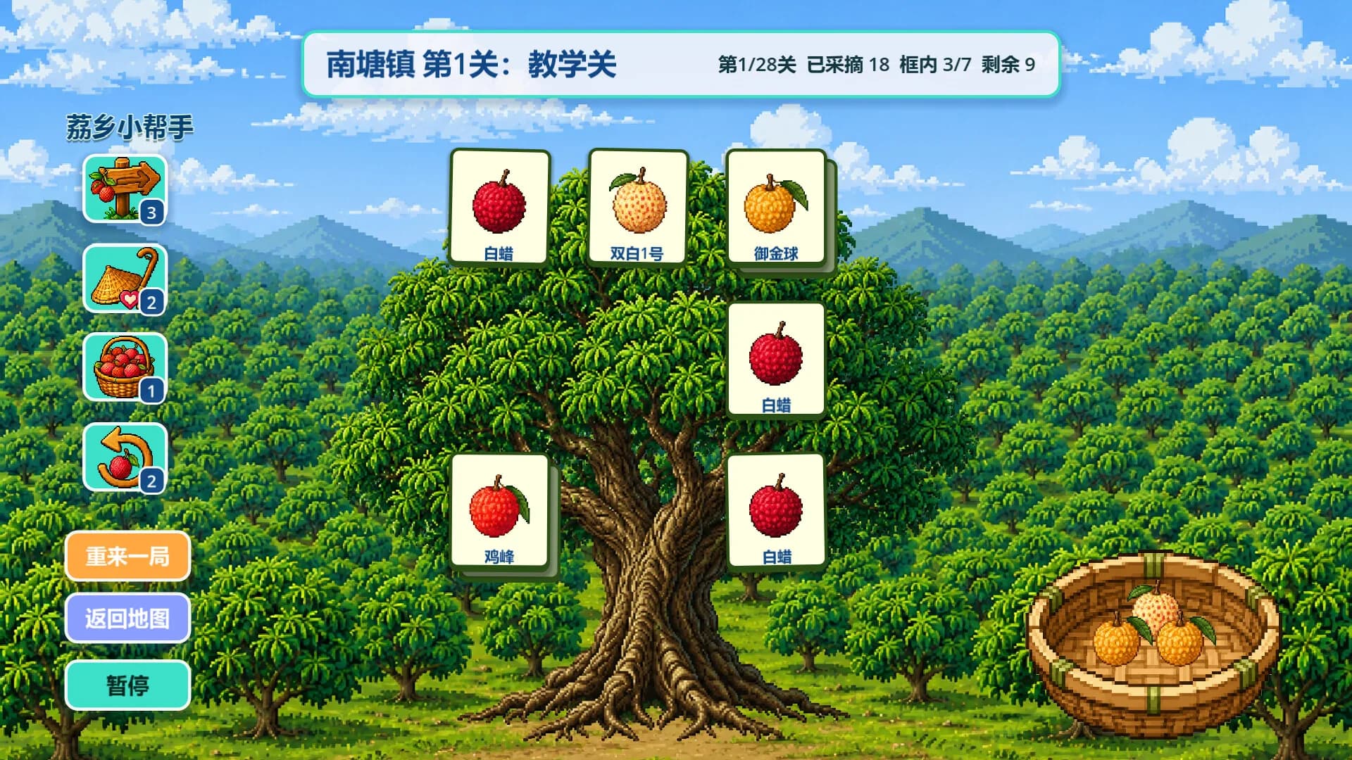 Know Lychees / 来高州识荔枝 görsel 6