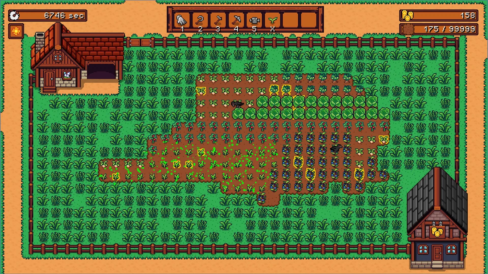 Capy Farm görsel 4