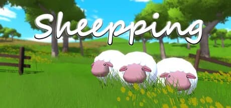 Sheepping görsel 1