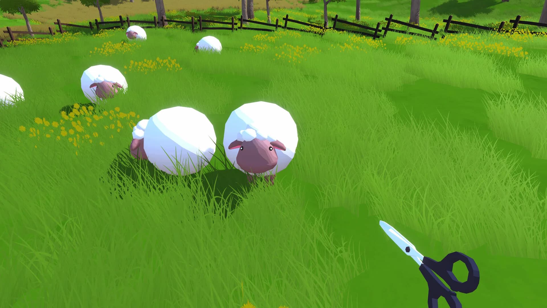 Sheepping görsel 2