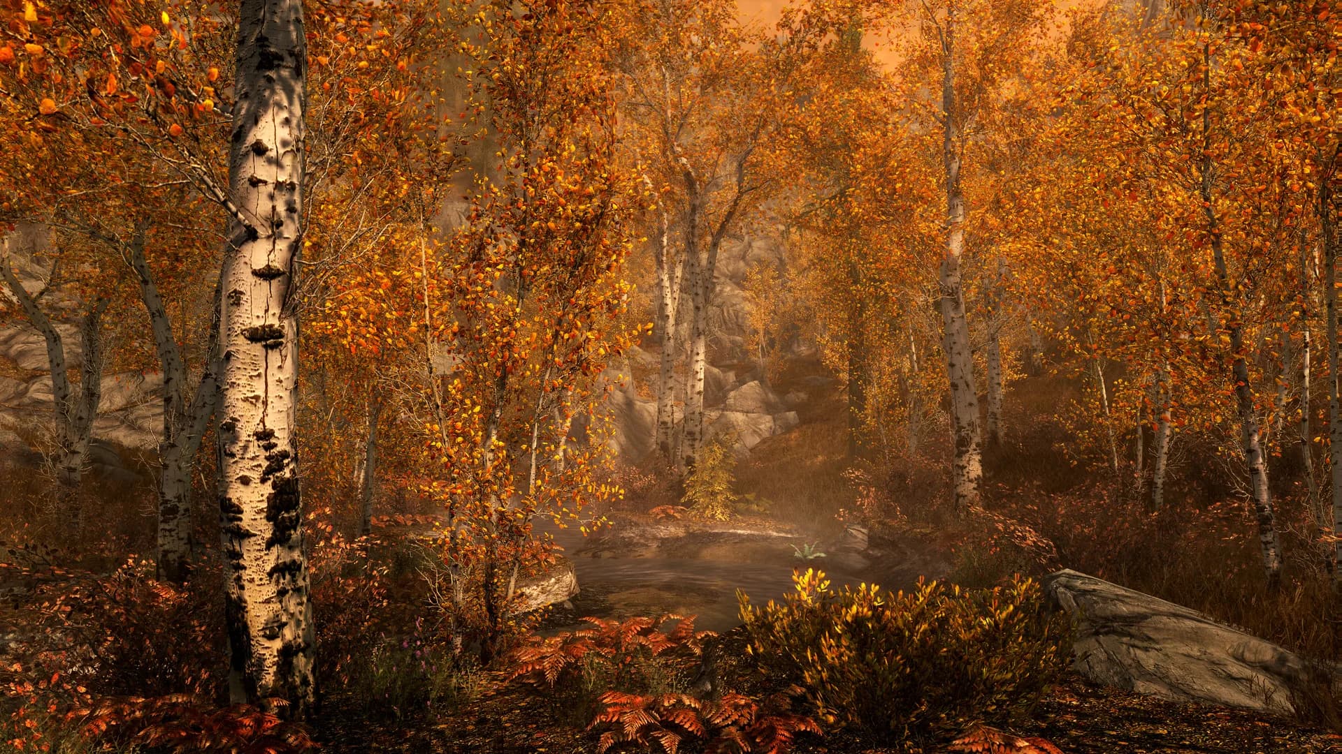The Elder Scrolls V: Skyrim Special Edition görsel 4