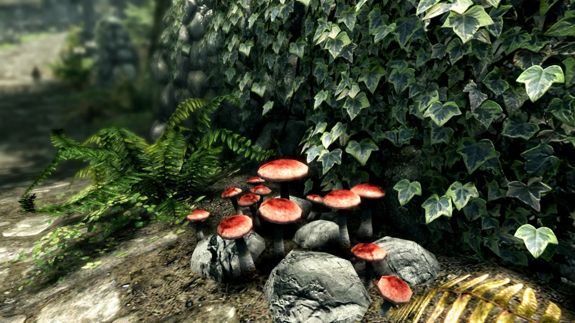 The Elder Scrolls V: Skyrim Special Edition görsel 7