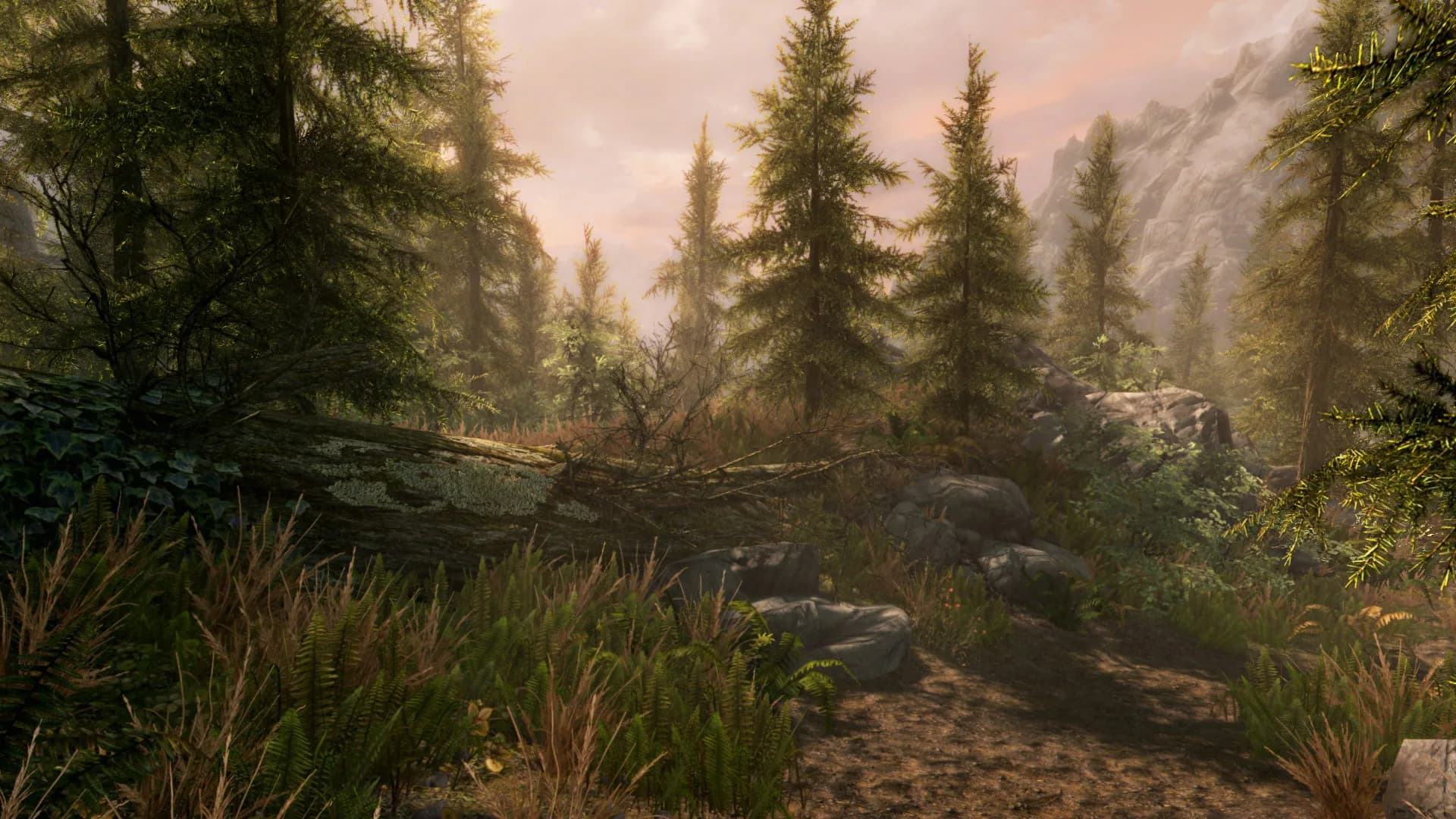 The Elder Scrolls V: Skyrim Special Edition görsel 8