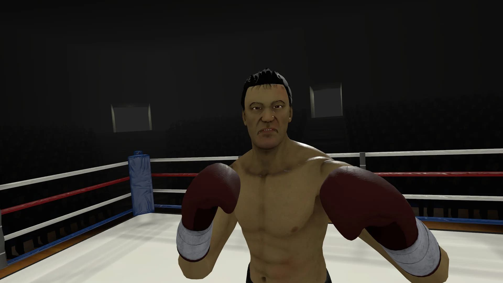 The Thrill of the Fight - VR Boxing görsel 5