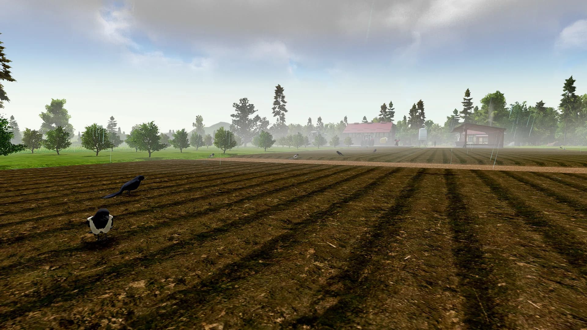 Farm Manager 2018 görsel 9