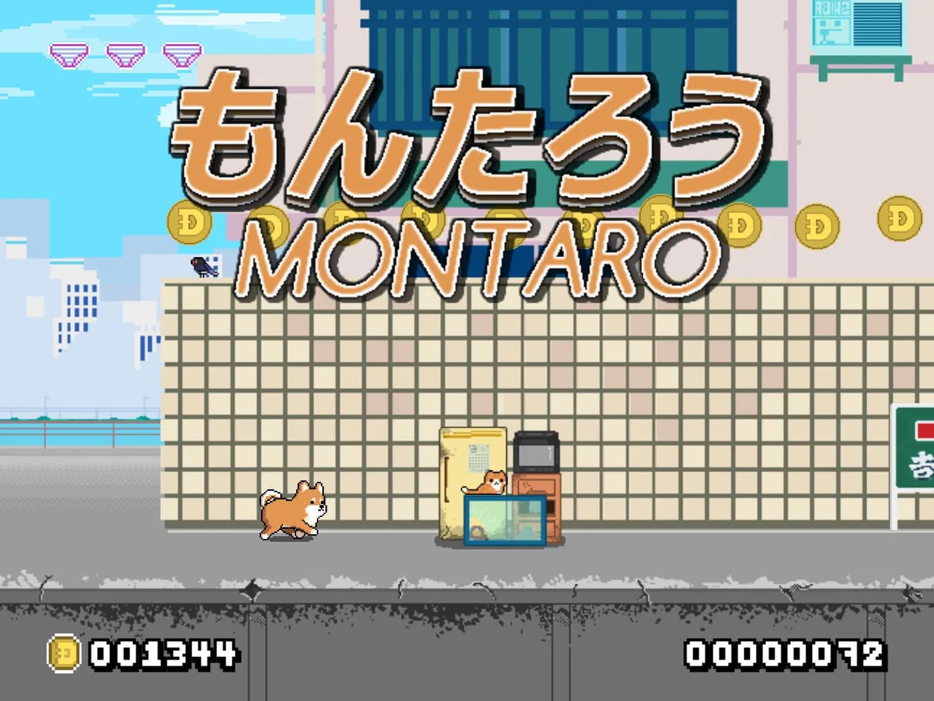Montaro görsel 2