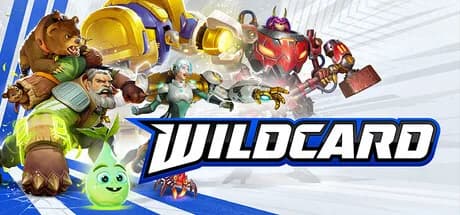 Wildcard görsel 1