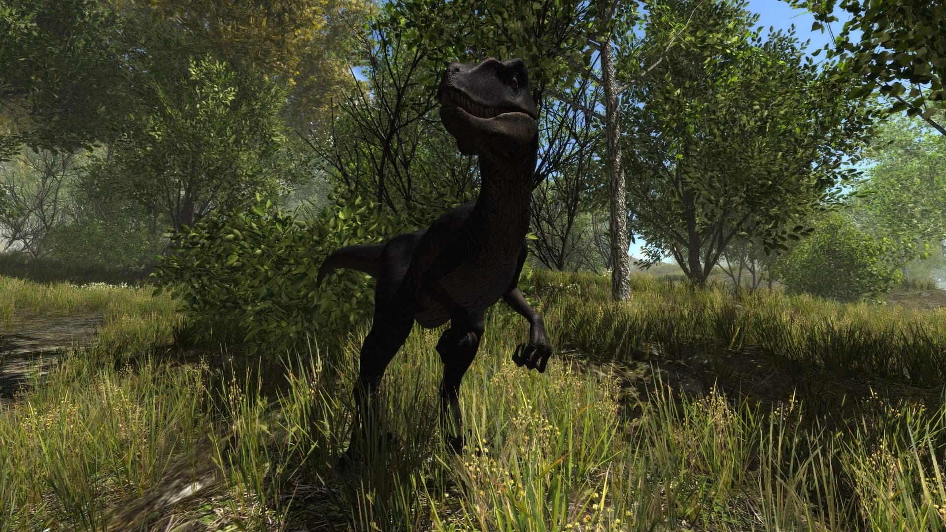Dinosaur Forest görsel 4