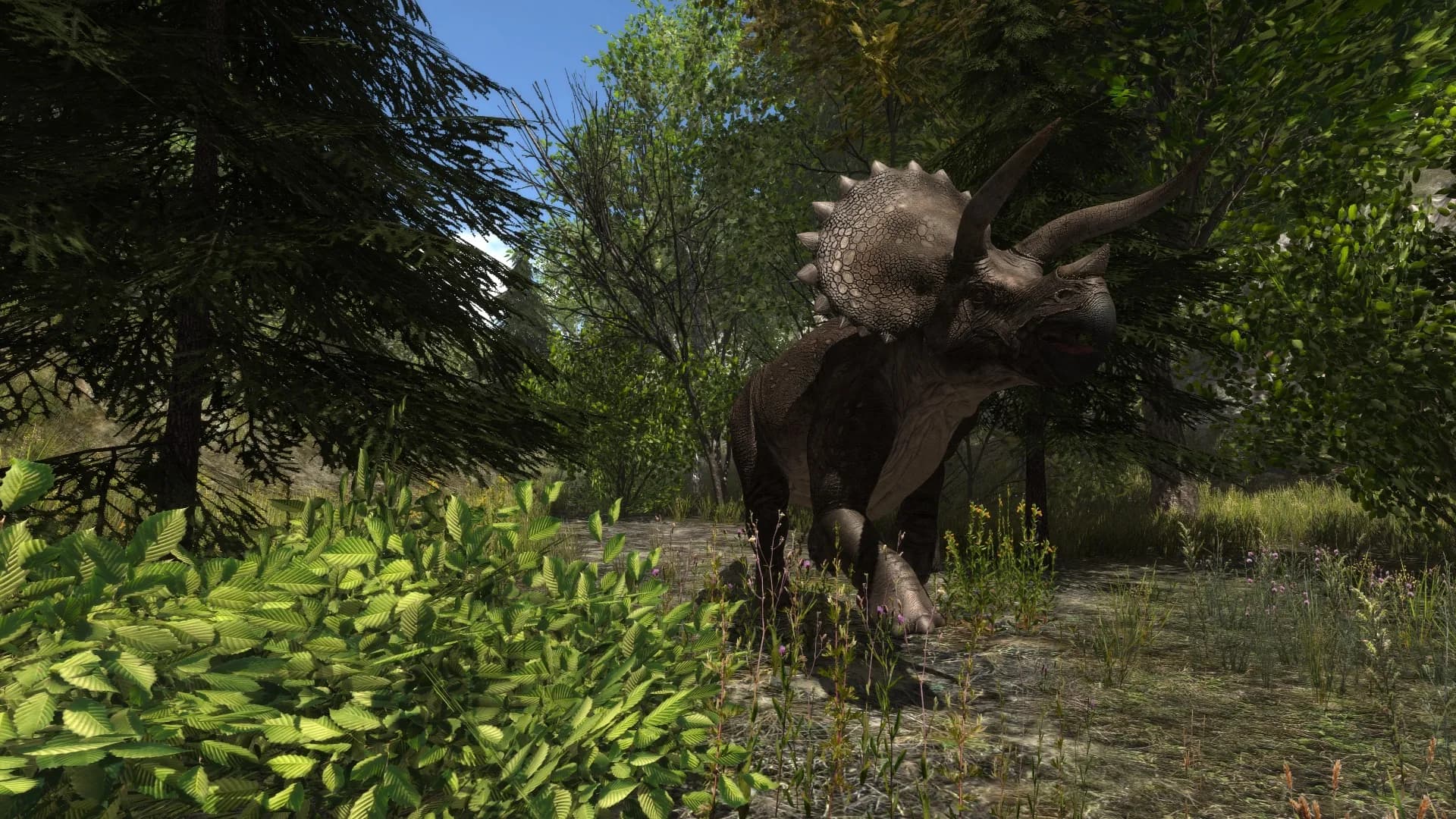 Dinosaur Forest görsel 9