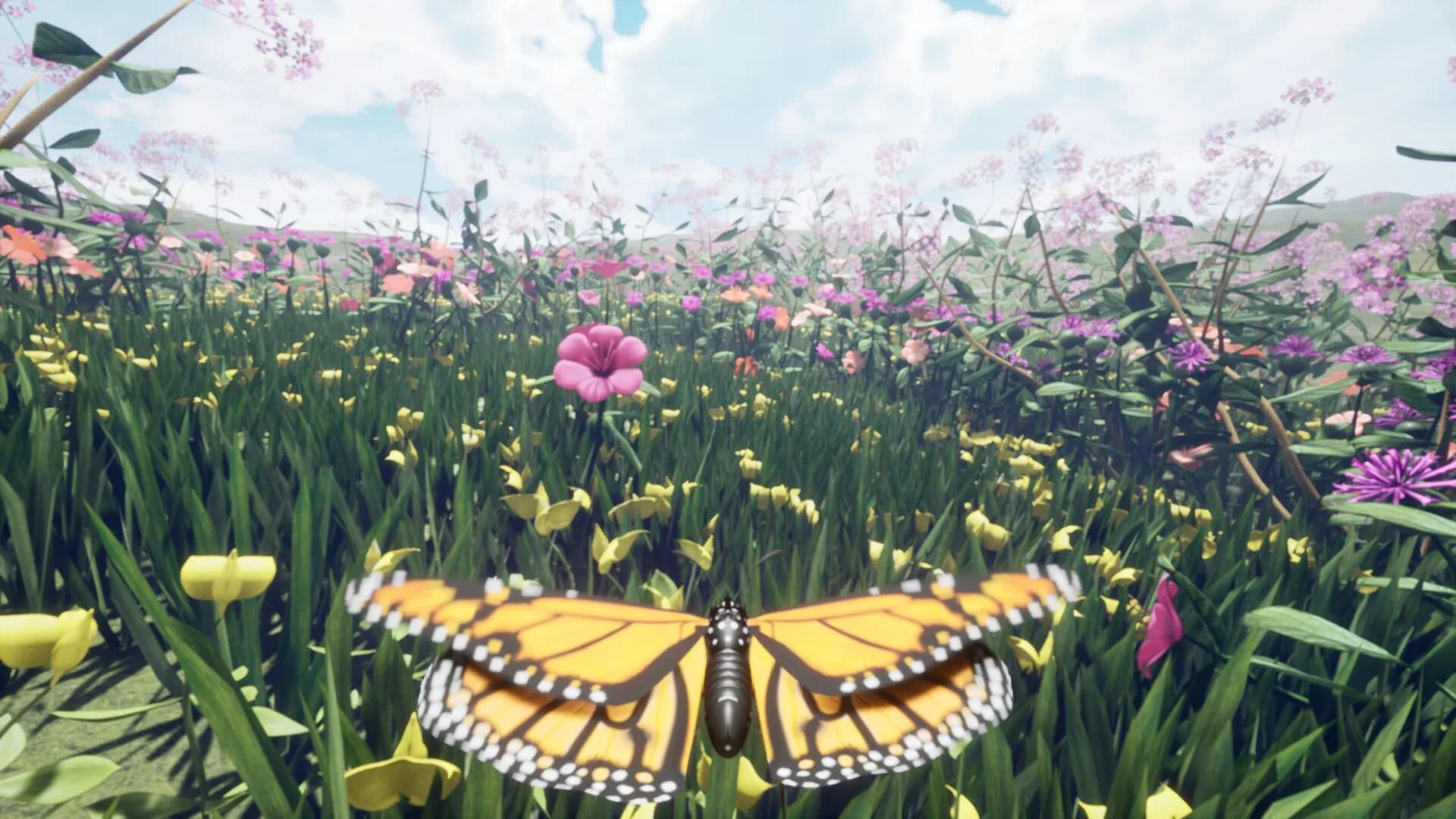 Nature & Life - Drunk On Nectar görsel 2