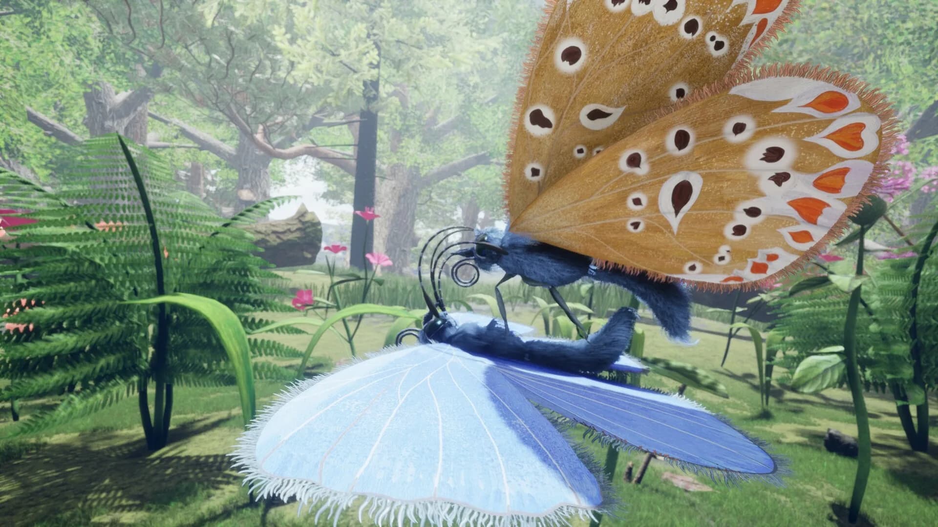Nature & Life - Drunk On Nectar görsel 5