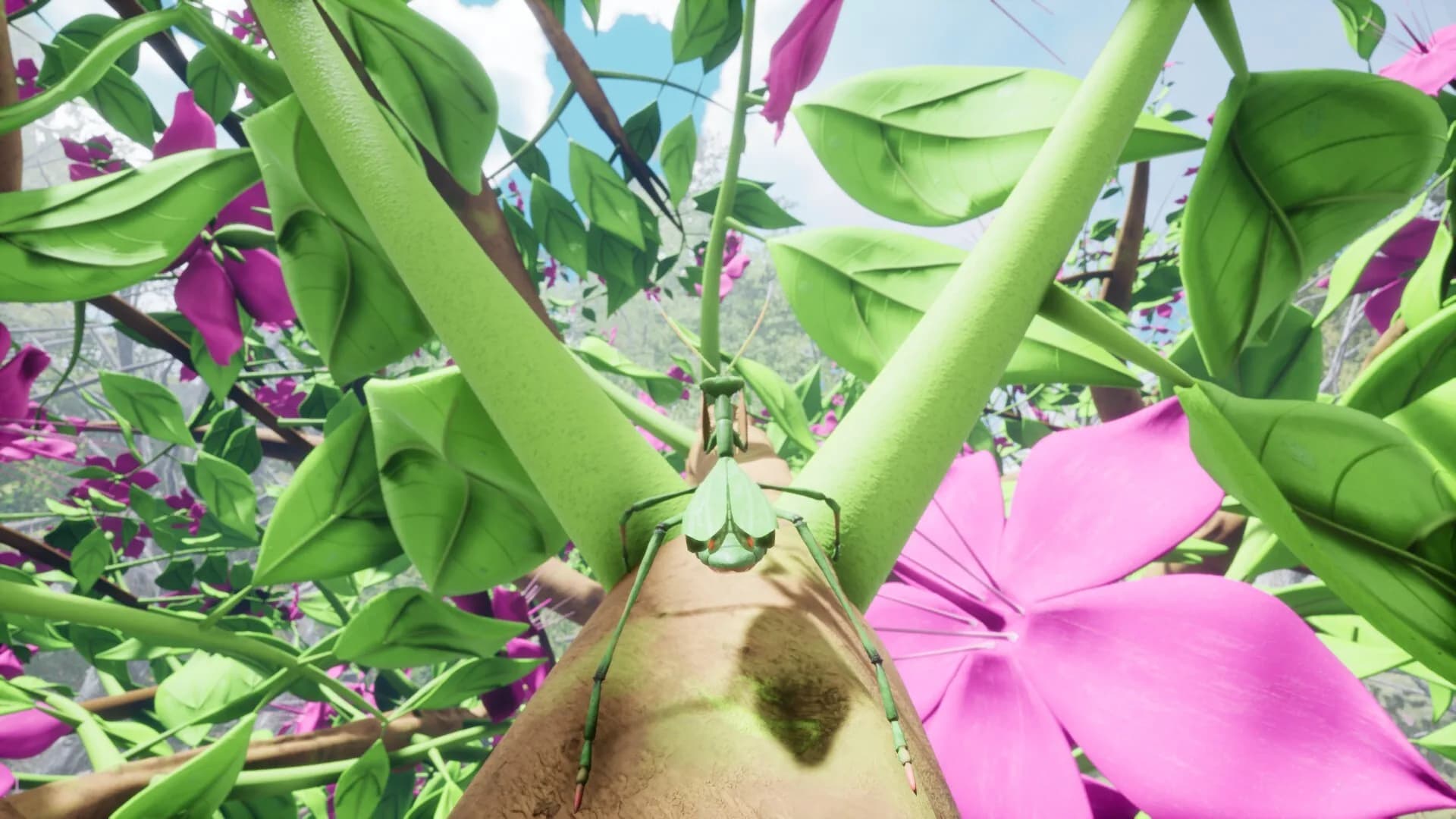 Nature & Life - Drunk On Nectar görsel 7