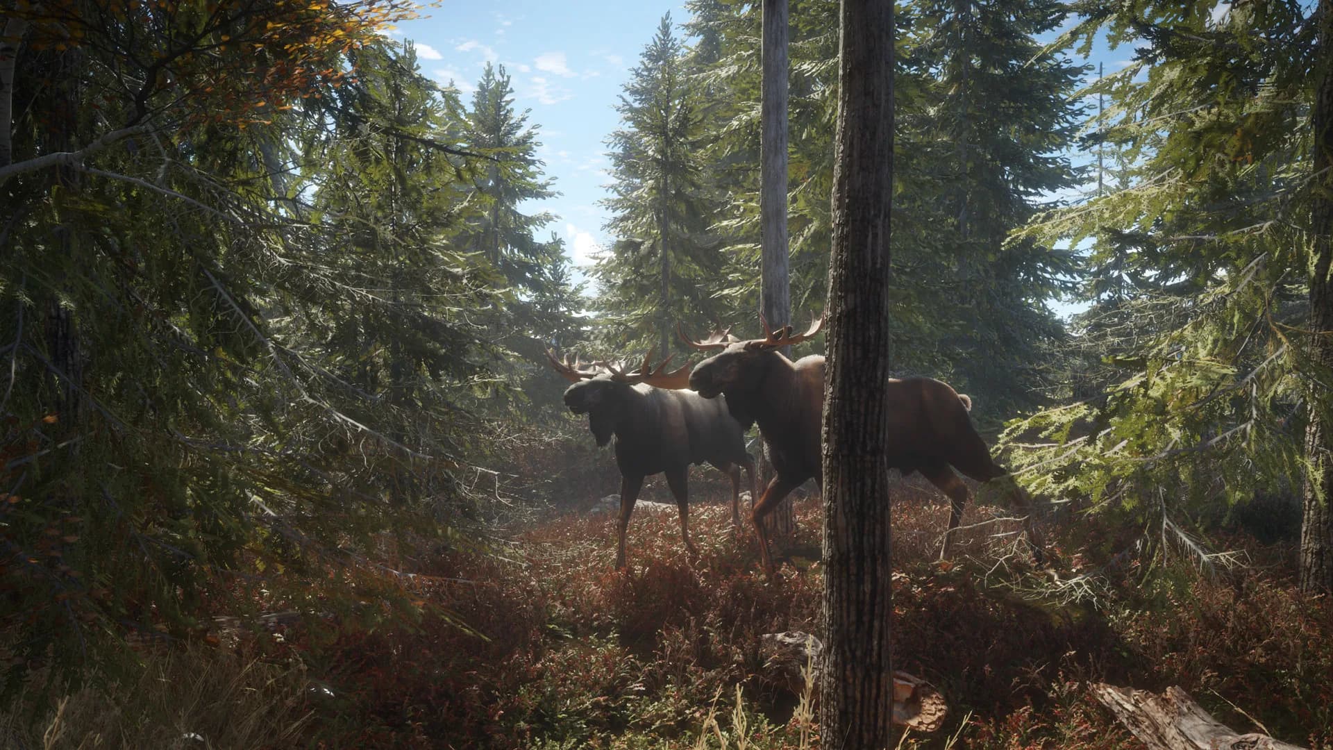 theHunter: Call of the Wild™ görsel 2