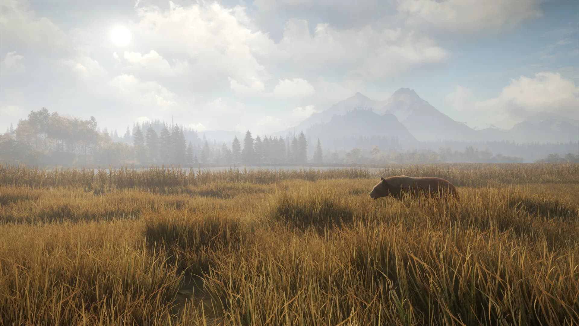 theHunter: Call of the Wild™ görsel 3