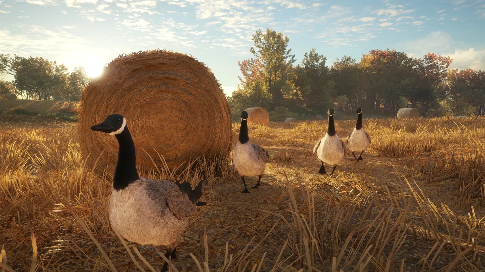 theHunter: Call of the Wild™ görsel 12
