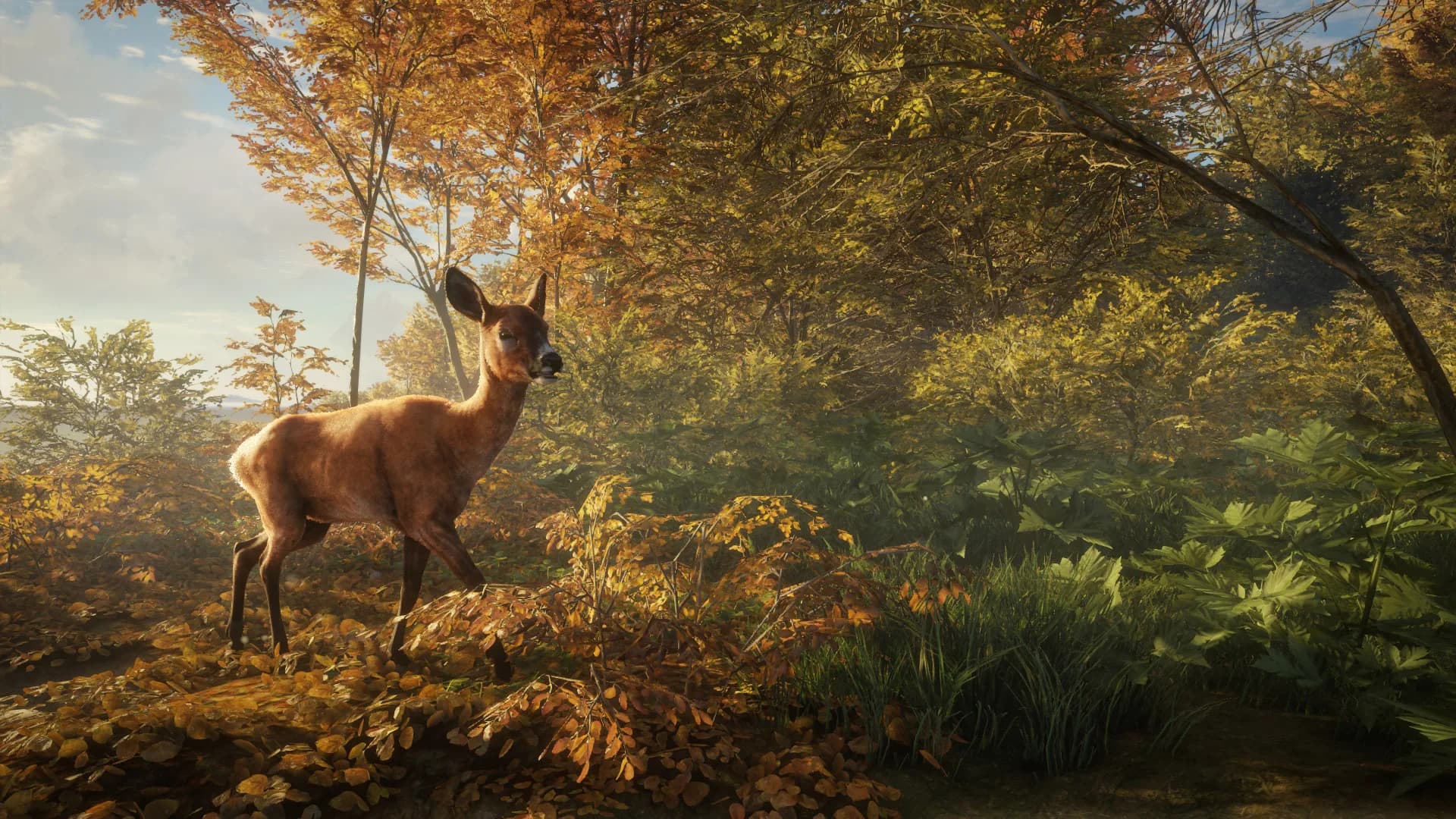 theHunter: Call of the Wild™ görsel 13