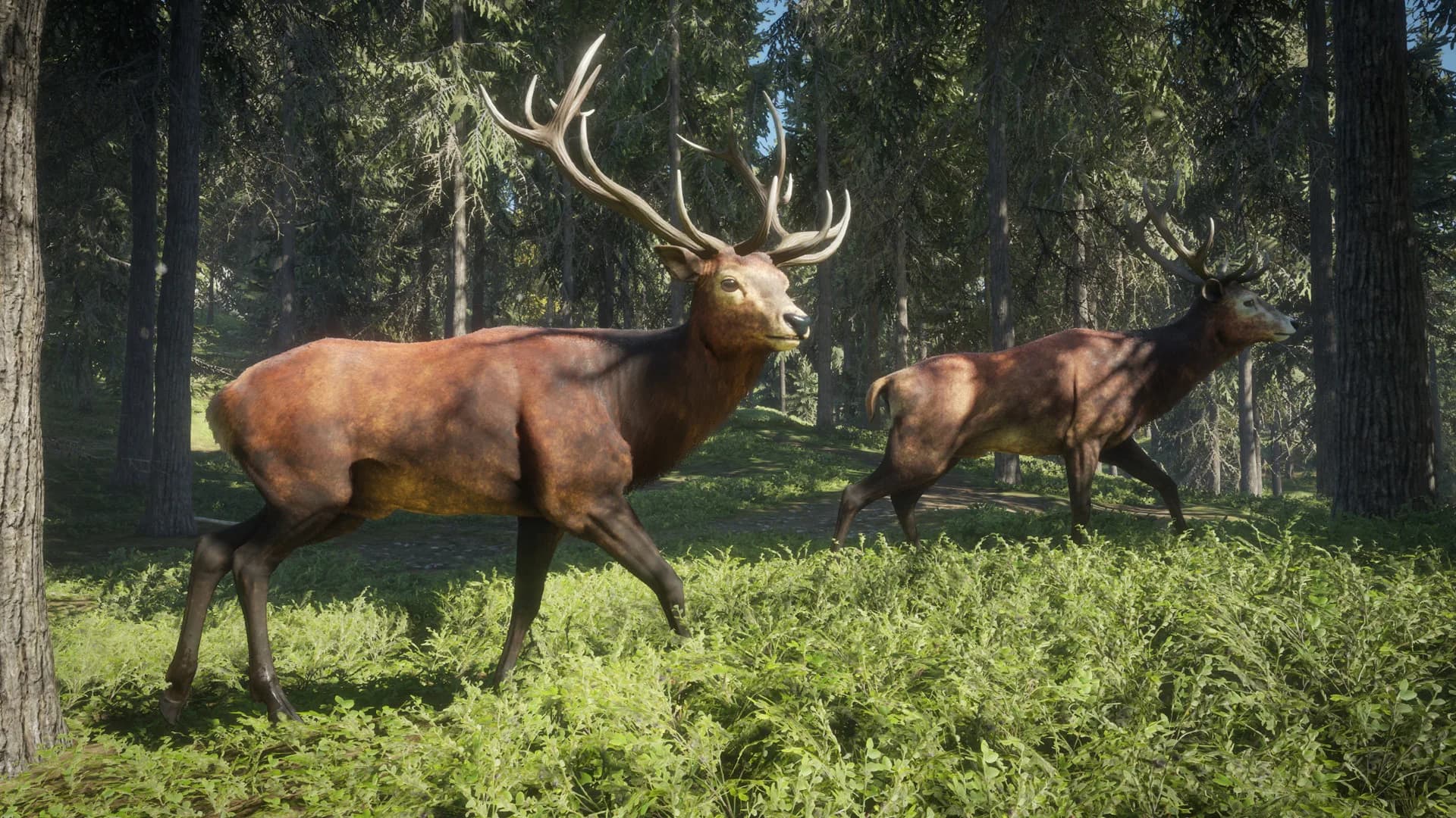 theHunter: Call of the Wild™ görsel 15