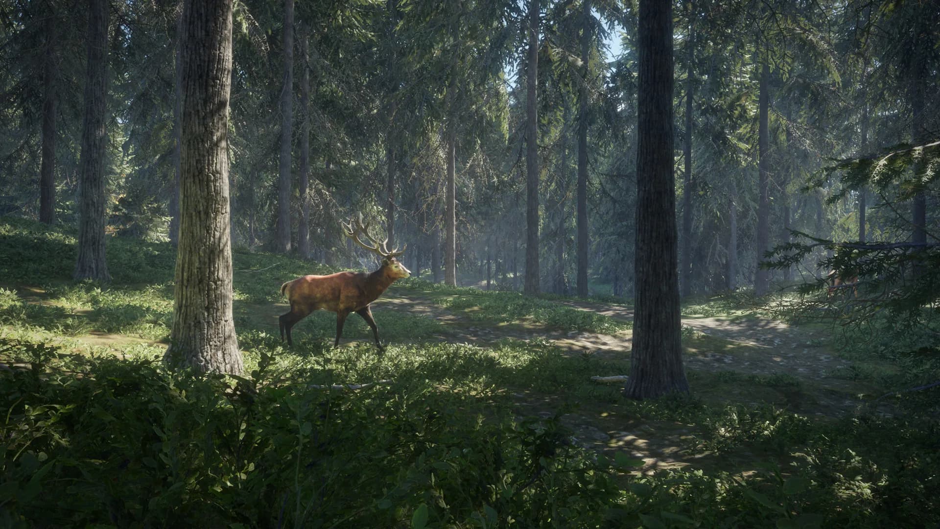 theHunter: Call of the Wild™ görsel 18
