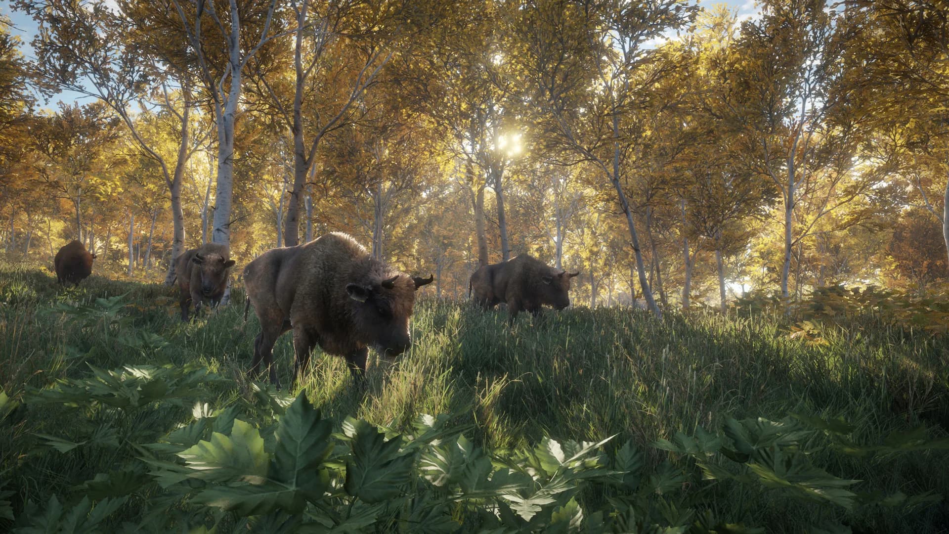 theHunter: Call of the Wild™ görsel 22