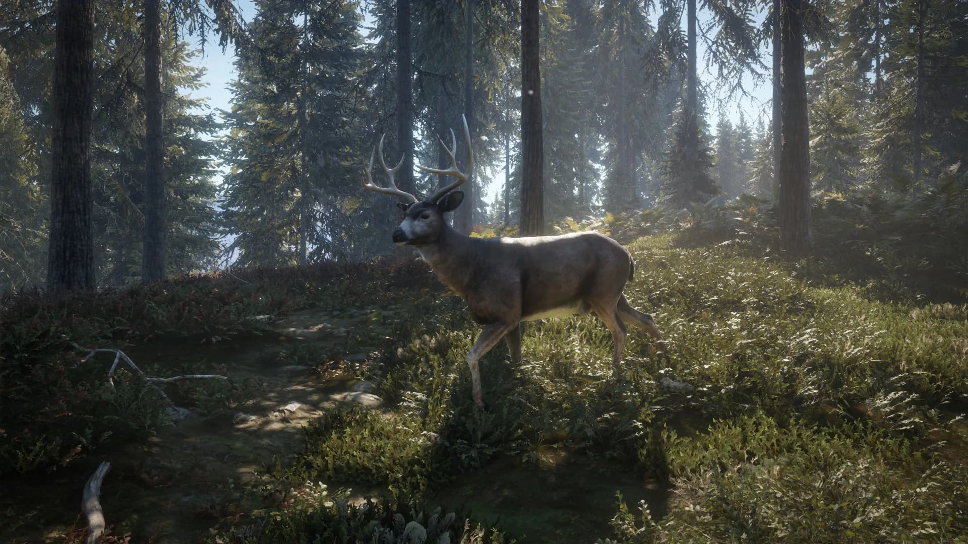 theHunter: Call of the Wild™ görsel 25