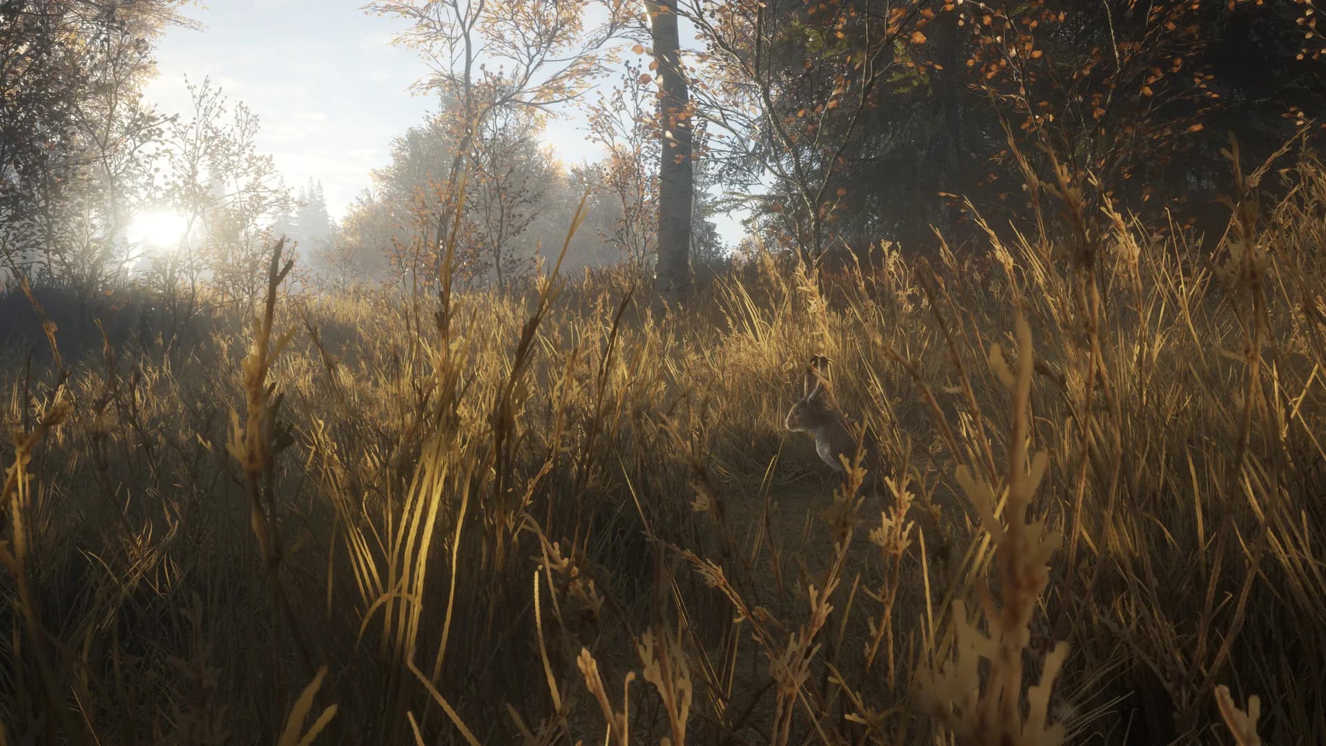 theHunter: Call of the Wild™ görsel 8