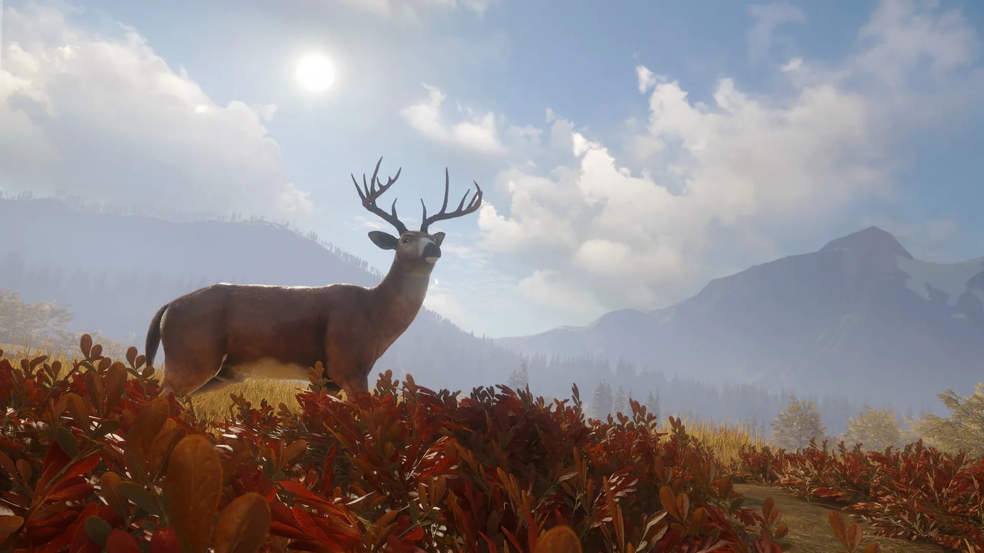 theHunter: Call of the Wild™ görsel 10