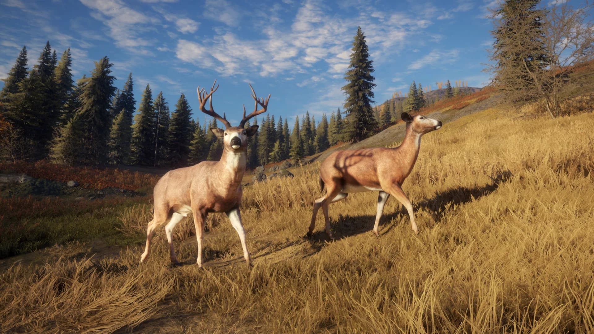theHunter: Call of the Wild™ görsel 11