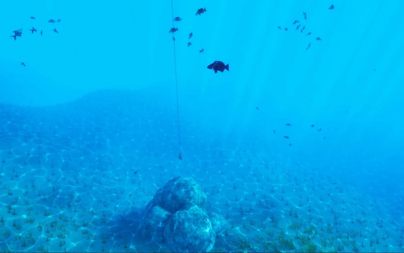 The Fishing Club 3D: Co-op Sport Angling görsel 4