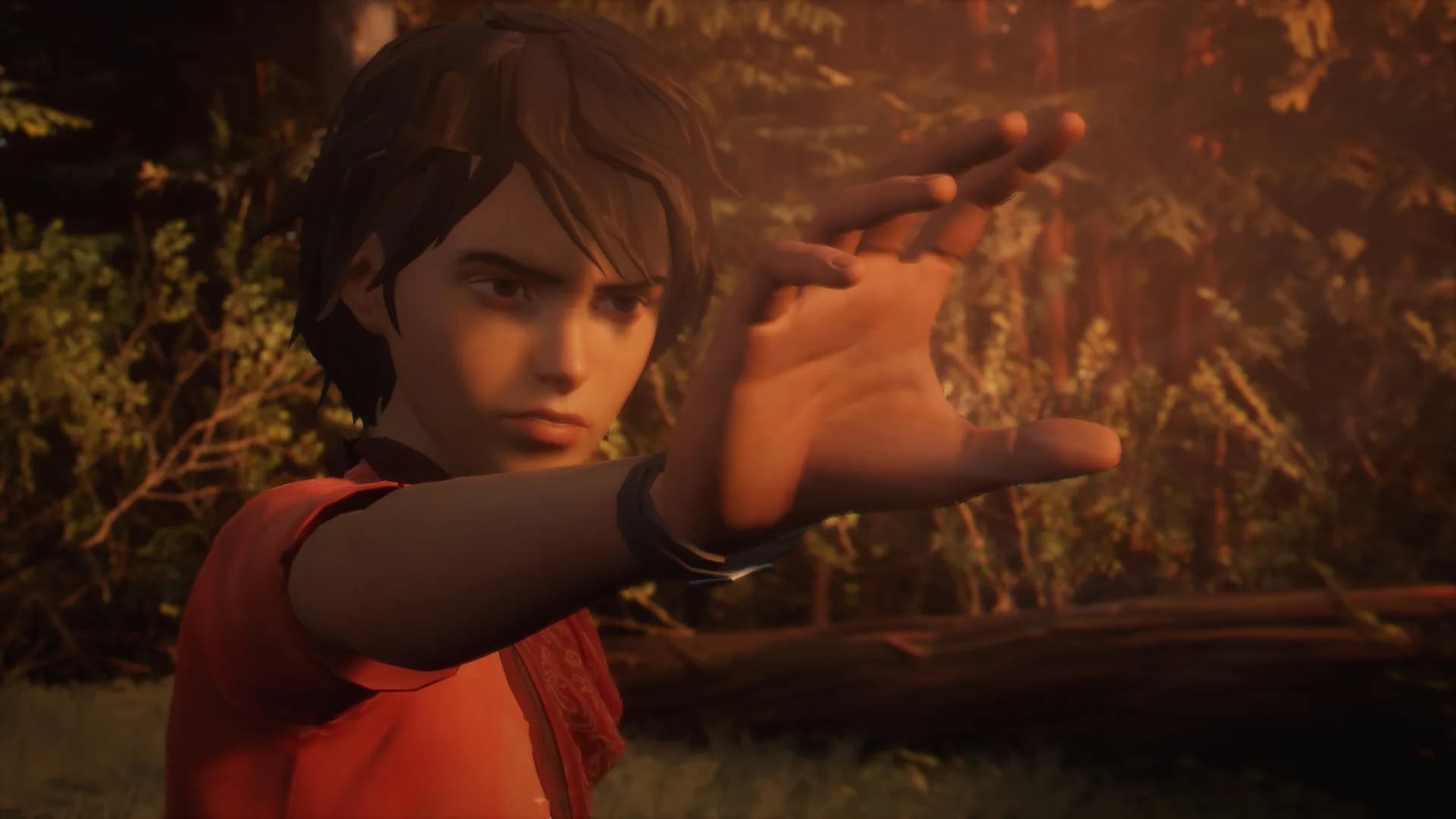 Life is Strange 2 görsel 2