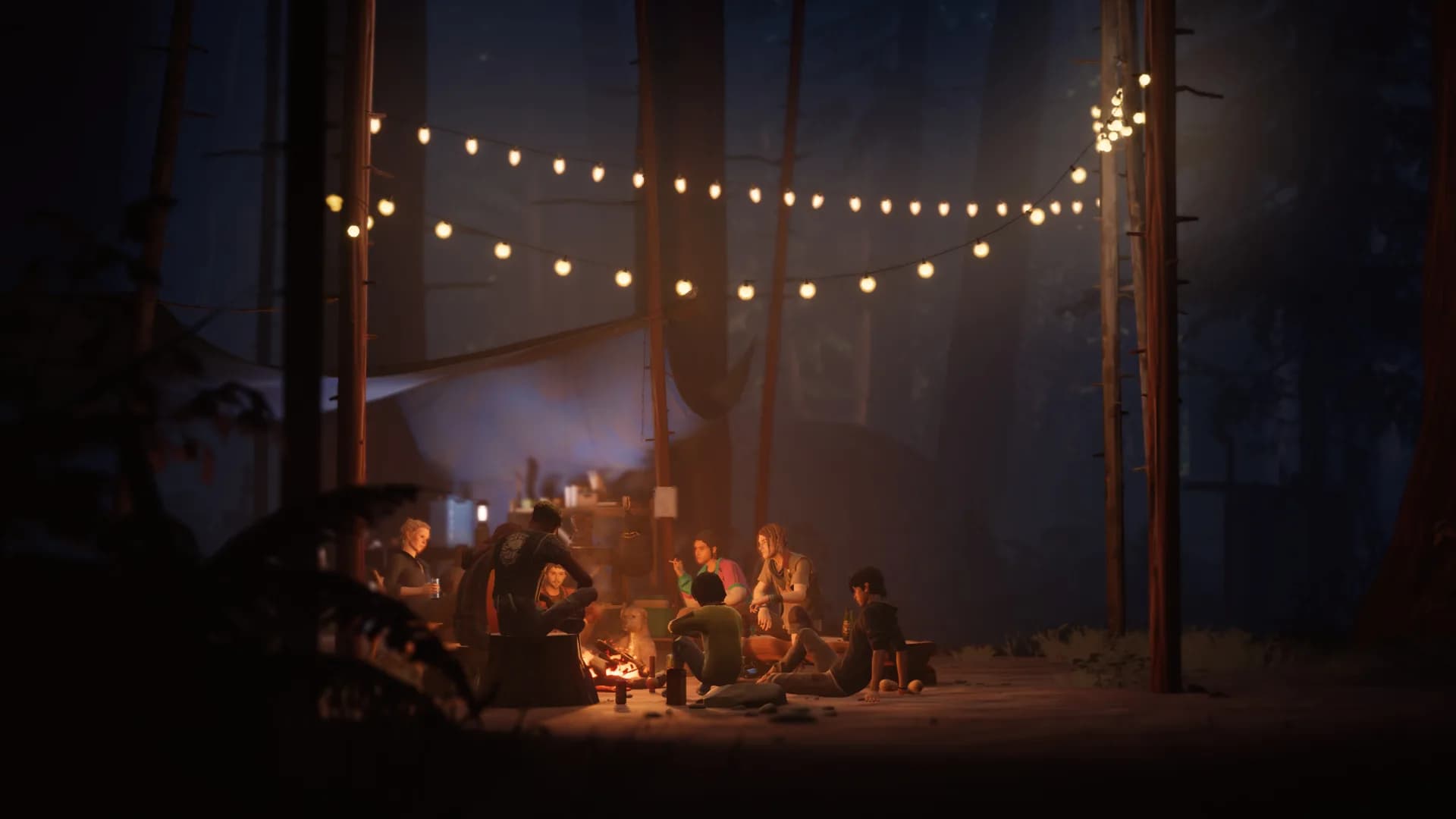 Life is Strange 2 görsel 3