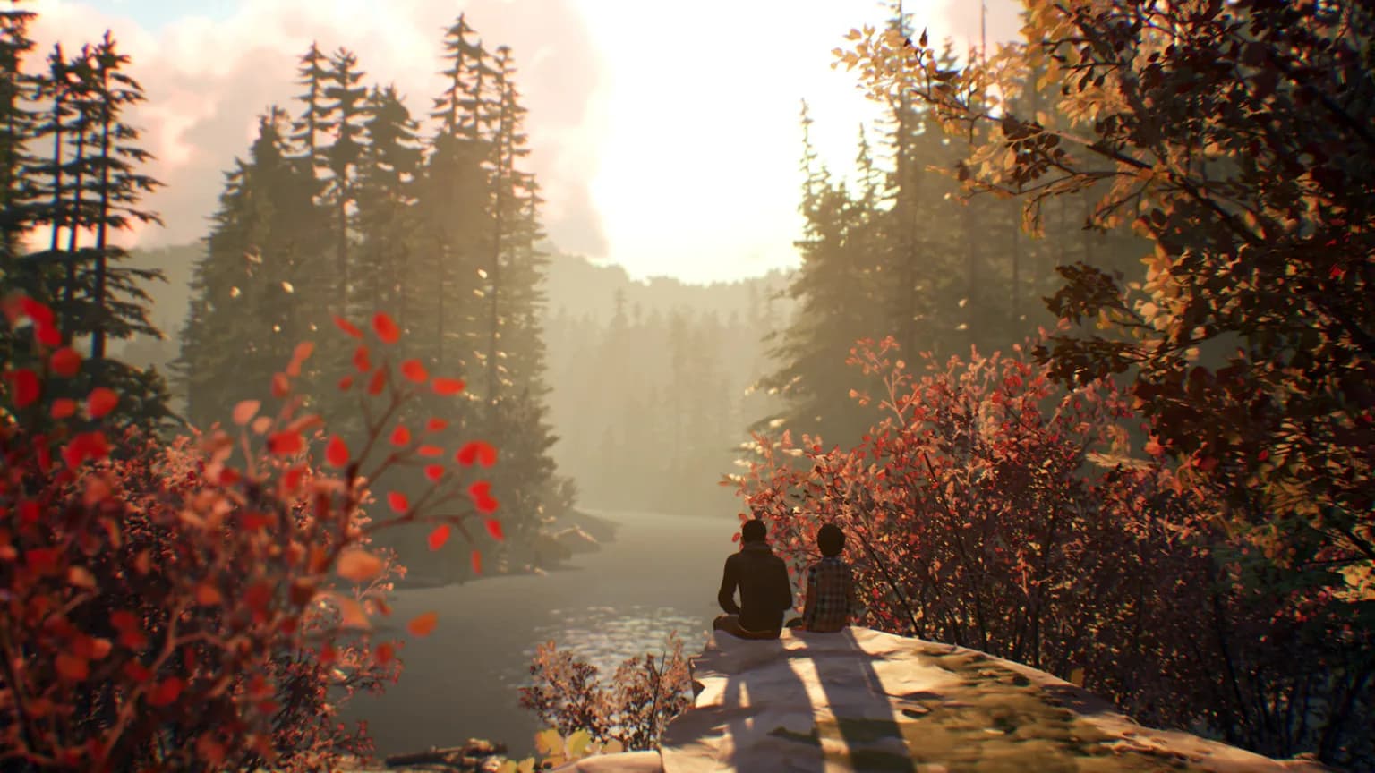 Life is Strange 2 görsel 16