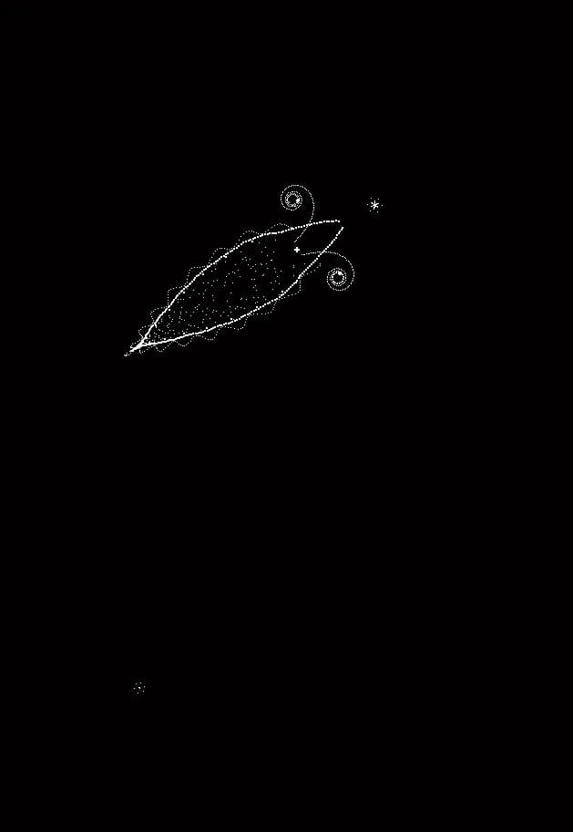 Plankton görsel 5
