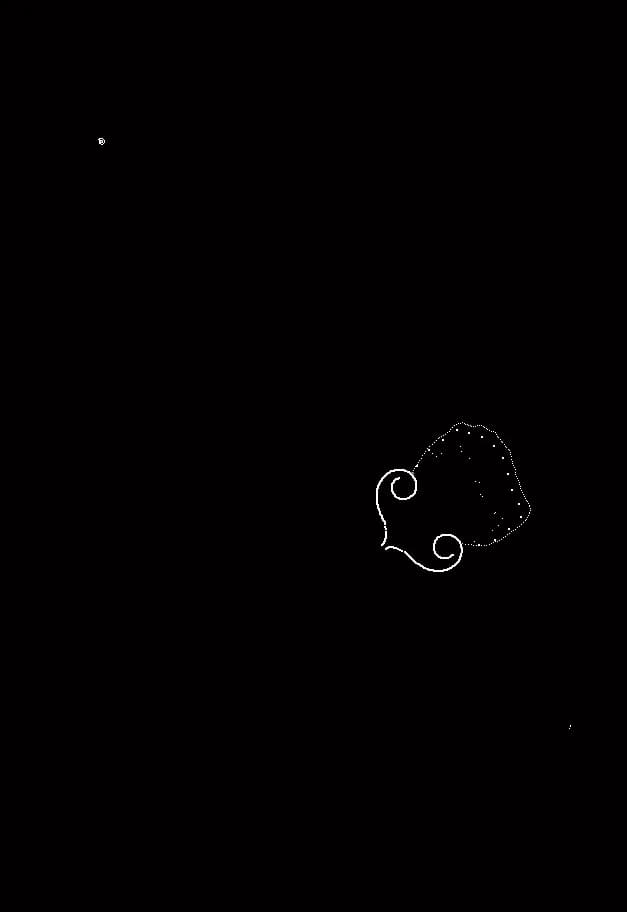 Plankton görsel 6