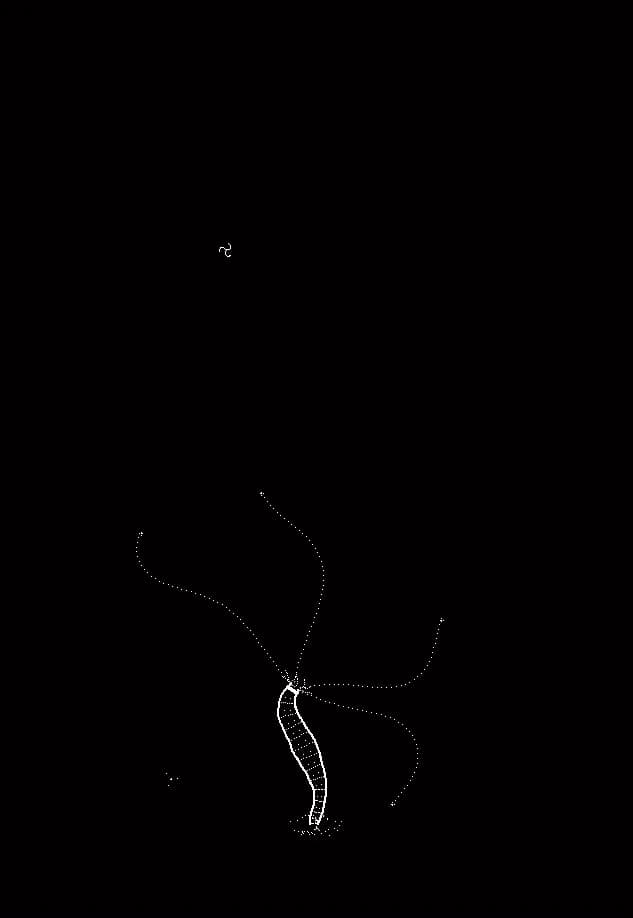 Plankton görsel 7