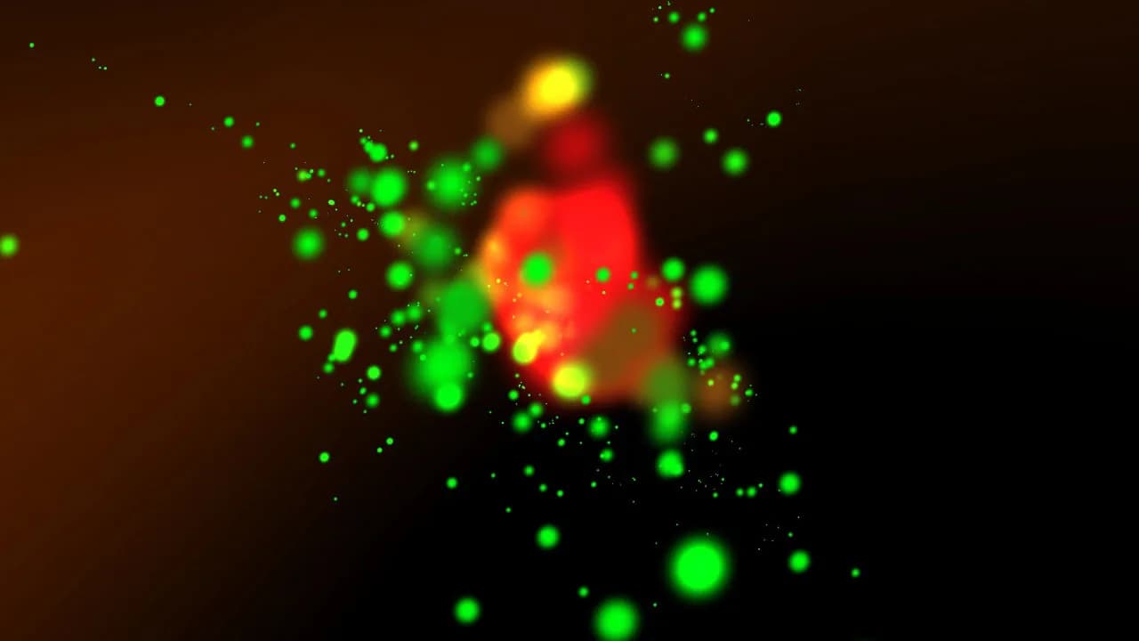 Anomalies görsel 12