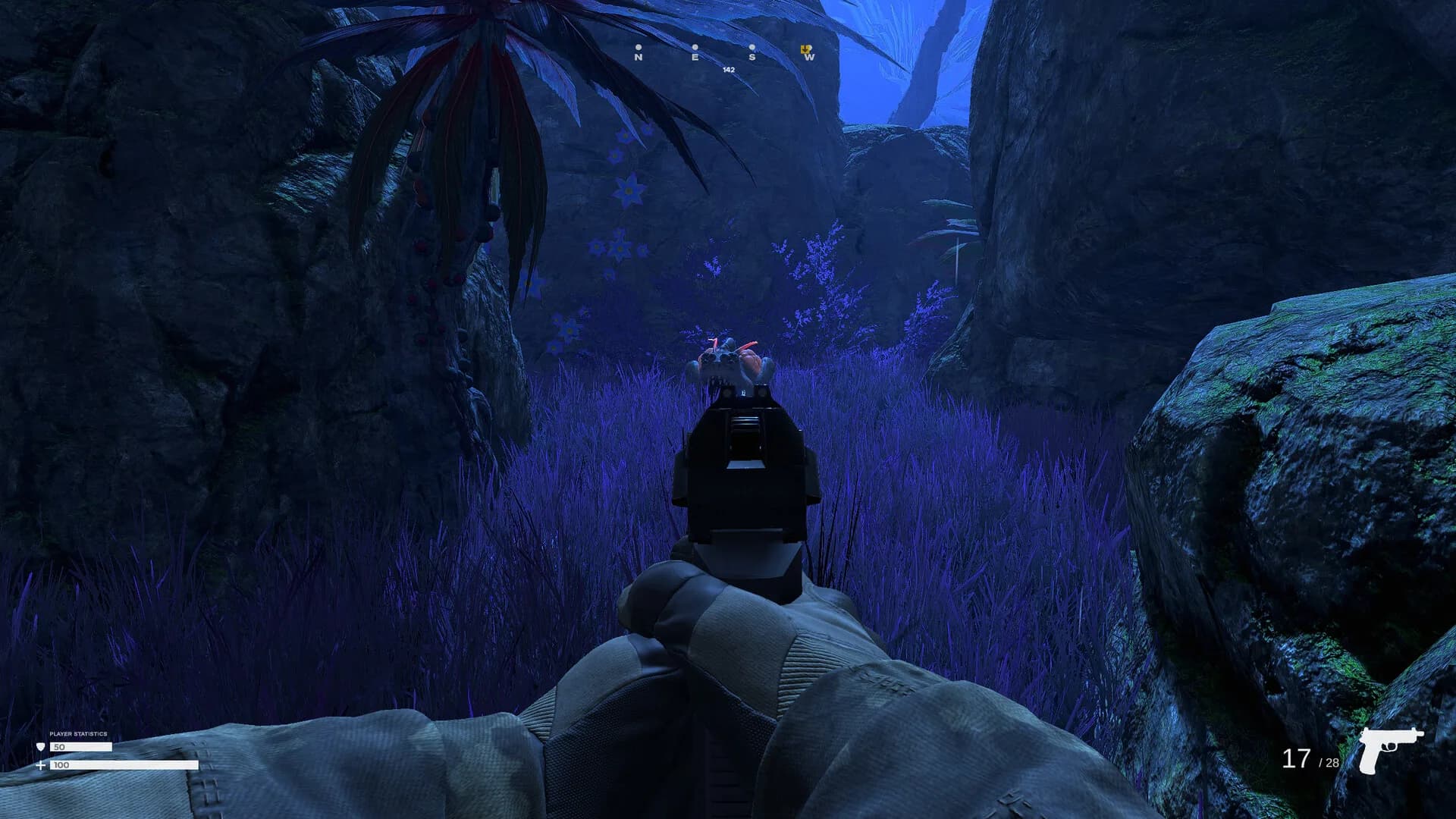 Zukara görsel 2