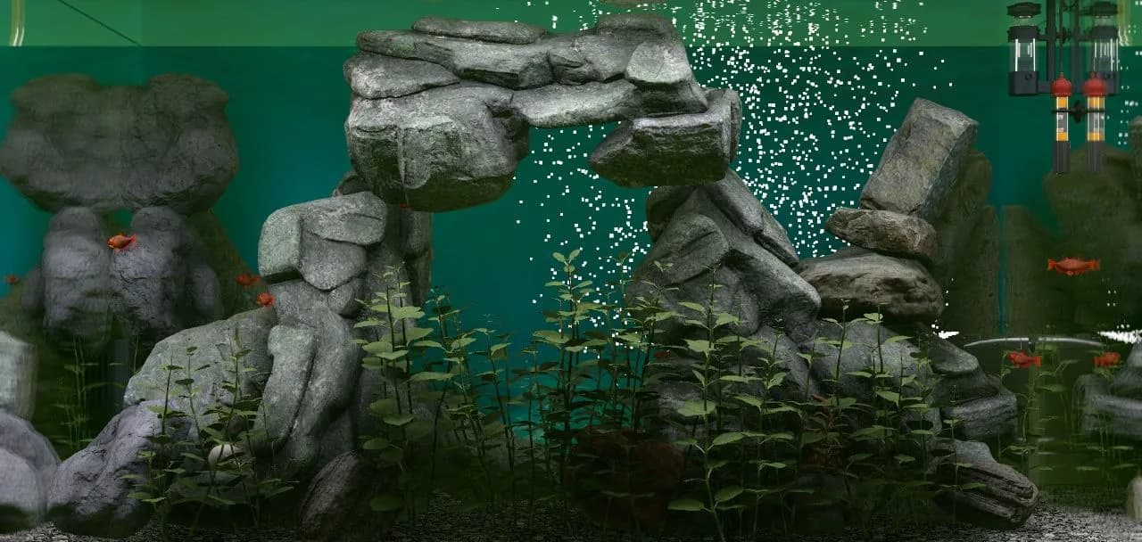 Biotope görsel 2