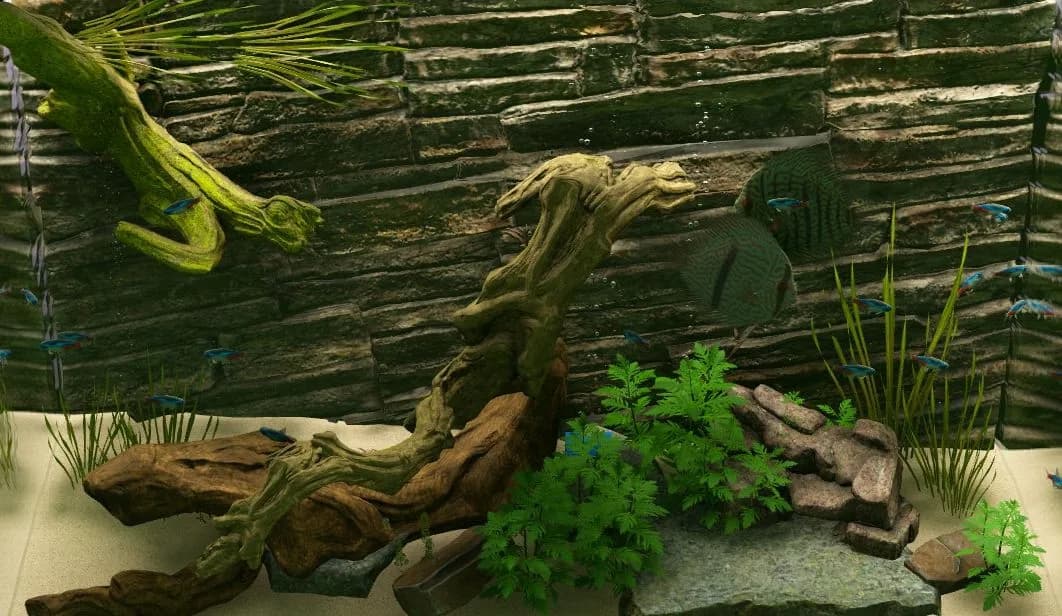 Biotope görsel 3