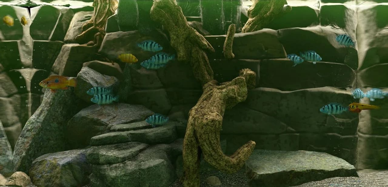 Biotope görsel 4