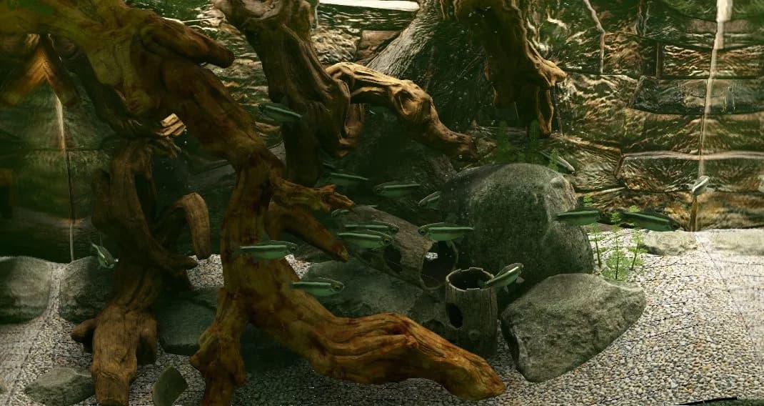 Biotope görsel 5